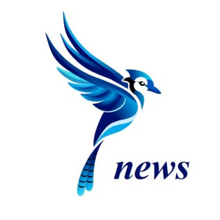 Логотип @soykasoft_news - SoykaSoft | оцифровка бизнеса для селлеров 🐦