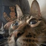 Логотип @soyuz_yumoristov_ukraini - Бидлостан