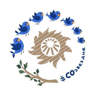 Логотип @sozvezdie_so - СОзвездие