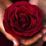 Логотип @space_of_lovis - КУПЕЛЬ ИЗОБИЛИЯ ЕВГЕНИИ АХМЕДОВОЙ