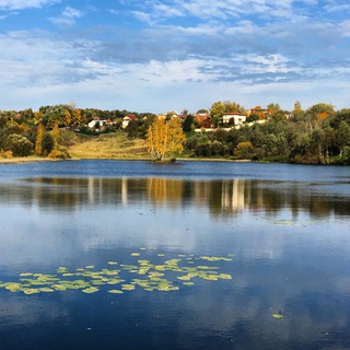 Логотип @spasemsinichku - Спасем Синичку