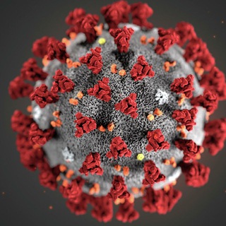 Логотип @spb_gorzdrav_covid - Спб. Мониторим запись на вакцину