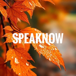 Логотип @spclubjulia - SpeakNow with Julia