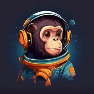 Логотип @spcmonke - SPACE MONKEY