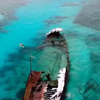 Логотип @spearfishing_diving - Дайвинг - Погибшие корабли