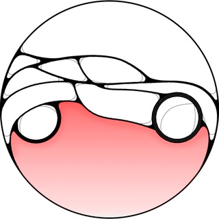 Логотип @specautotradedv - Spec Auto Trade DV - Авто из Китая, Японии и Кореи