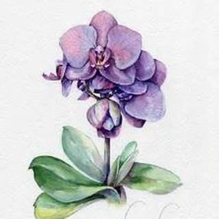 Логотип @special_needs_child - Ребёнок не такой, как все