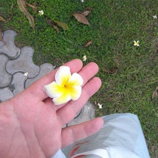 Логотип @speciallassi - Special Lassi