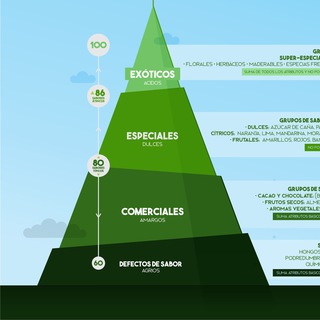 Логотип @specialtycoffeeexpert - ESTUDIO DE CAFE ONLINE