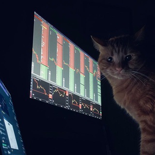 Логотип @speculantponikolaevski - Спекулянт по-николаевски