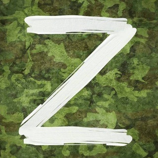 Логотип @specvoenoper - Сводки СВО