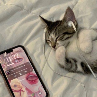 Логотип @speedsongs_wexy - speed songs | wexy