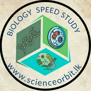 Логотип @speedstudybiology - BIOLOGY SPEED STUDY
