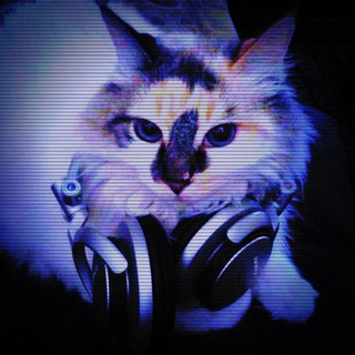 Логотип @speedup_nightcore - speed up/nightcore