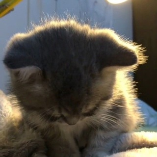 Логотип @speedupsongsttt - speed songs <3 | пикчи | ускоренные треки