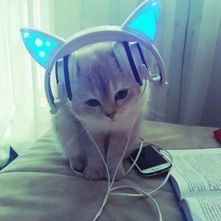 Логотип @speeeedds - Музыка и Парные