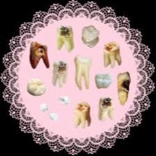 Логотип @spiderhousee - 🎀Анатомический театр Такумо🎀