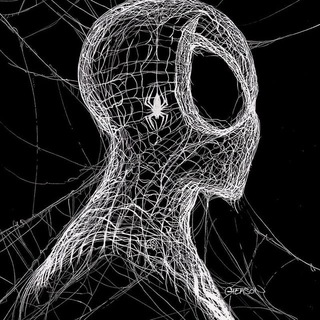 Логотип @spidertraderrr - Записки Павука