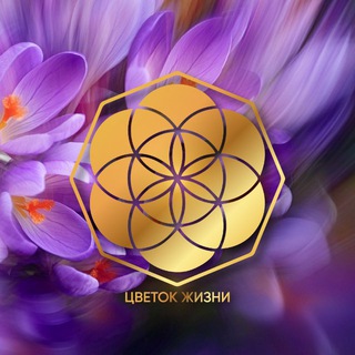 Логотип @spirit_cristall - Медитации онлайн Цветок Жизни