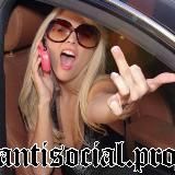 Логотип @spiritofmytischi - х359х