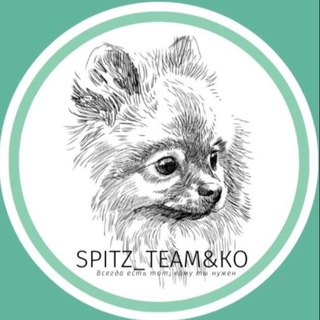 Логотип @spitz_team - Spitz_team&Ko ШПИЦ Тим