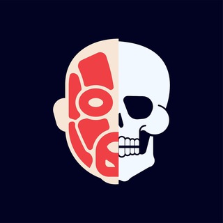 Логотип @splanchnologia - Анатомия | Карманный атлас