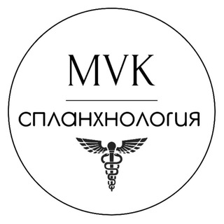 Логотип @splanhna - СПЛАНХНОЛОГИЯ 🪆