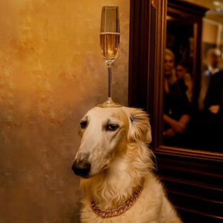 Логотип @spletnidvorca - Дворцовая борзая