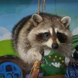 Логотип @spletniki48 - Сплетники🫶👍