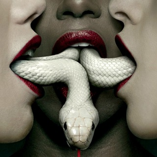 Логотип @spletniky - Spletnik