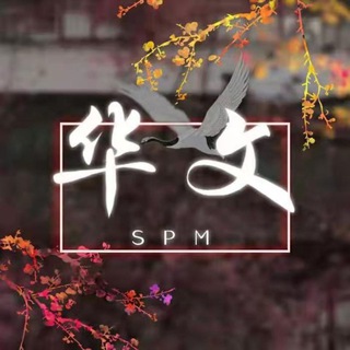 Логотип @spm2025chinesegroup - 2025/26/27 SPM华文科资讯站（翱翔的17岁）