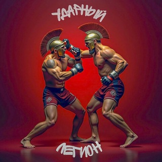 Логотип @spnws24 - УДАРНЫЙ ЛЕГИОН | MMA