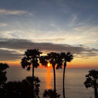 Логотип @spocktravel - SpockTravel ✈️ БИЛЕТЫ