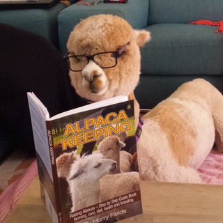 Логотип @spokivay - hi spokivay!