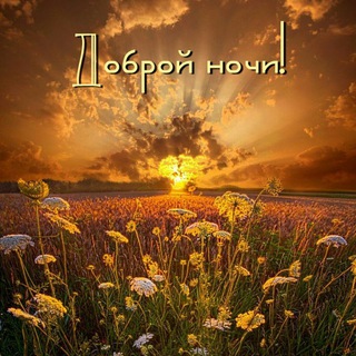 Логотип @spokoynoy_nochi_i - Спокойной Ночи🌜картинки