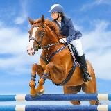 Логотип @sport_video_n1 - Спорт