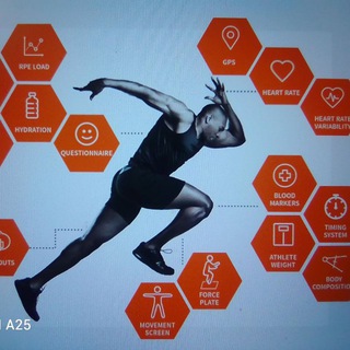 Логотип @sportbyscience - 🏃‍♀🏃‍♂Sport 💪 by science✍