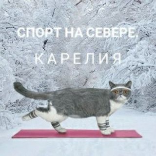 Логотип @sportkarelia - Спорт на севере. Карелия