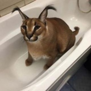 Логотип @spotifyvzlomlol - Спотифай взлом ряльно