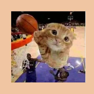 Логотип @spotikeee - SPOTIK