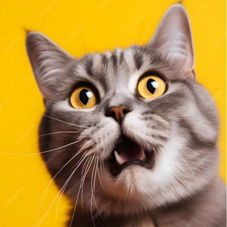 Логотип @spotlightwcs - Прожектор WCS