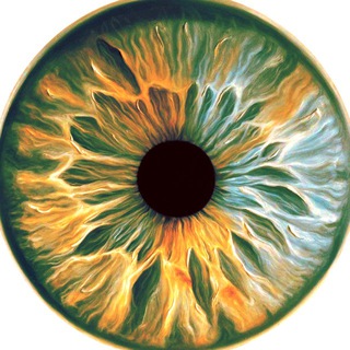 Логотип @spriggan1984 - 1spriggan2