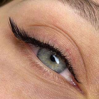 Логотип @sprutlashes - Sprut.lashes