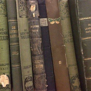 Логотип @sprwyhivdjat - Жизнь продолжается.... ✌️😝