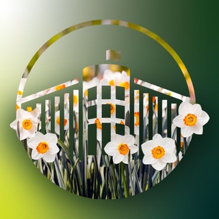 Логотип @spsutd - СПбГУПТД | NEWS