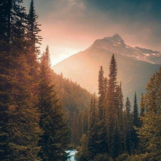 Логотип @spvsforyoupublicchat - Болтайте