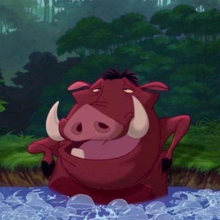 Логотип @sqd_736 - 736 SQD