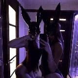 Логотип @sql_music - sql music