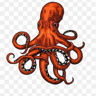 Логотип @squidopops_ru - ДВИЖЕНИЕ SQUIDOPOPS 🦑