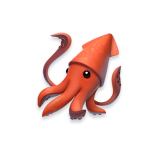 Логотип @squidst - SQUID STORE 🦑